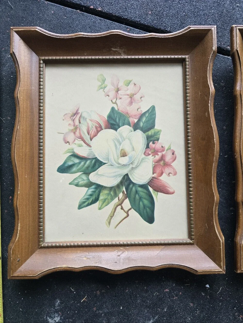 1950s Framed Lithograph Flower, Wall Decor Set.